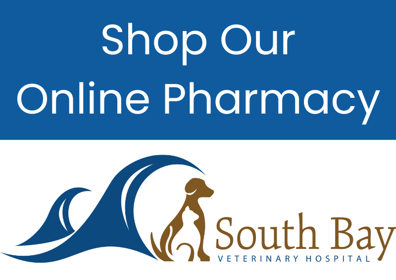 Carousel Slide 4: Online Pharmacies