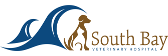 Link to Homepage of South Bay Veterinary Hospital