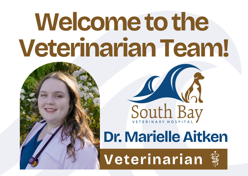 Carousel Slide 2: Welcome Dr. Aitken to the Veterinary Team!