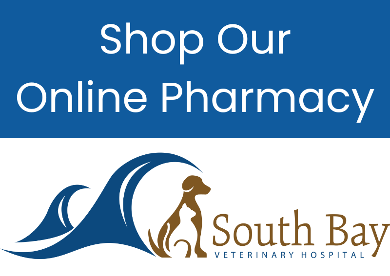 Carousel Slide 6: Online Pharmacies